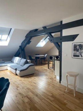 Magnifique loft centre ville
